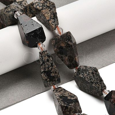 Natural Snowflake Obsidian Beads Strands G-NH0005-B03-01-1