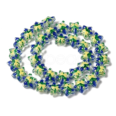 Handmade Lampwork Beads Strands LAMP-K037-15C-1