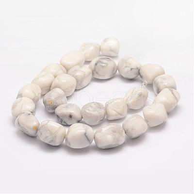 Natural Howlite Bead Strands G-K153-D15-1