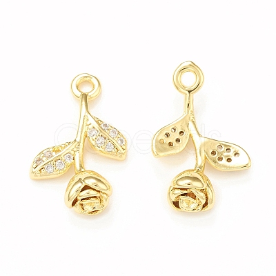 Brass Micro Pave Cubic Zirconia Charms KK-P228-42G-1