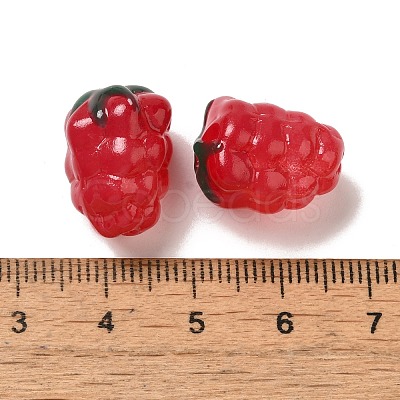Handmade Lampwork Beads Strands LAMP-G162-05E-1