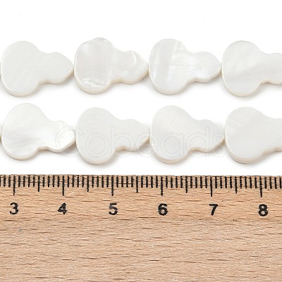 Natural Freshwater Shell Beads Strands SHEL-K010-02C-1