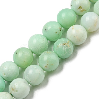 Grade A Natural Chrysoprase Beads Strands G-R494-A02-03-1