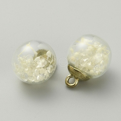 Transparent Glass Globe Pendants GLAA-TAC0005-003C-1