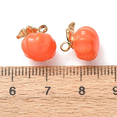 304 Stainless Steel Charms SA-D002-14A-G-1