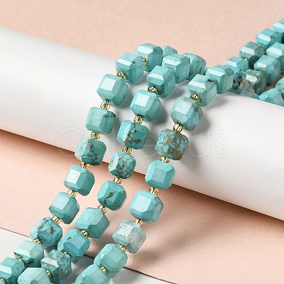 Natural Howlite Beads Strands G-C025-14-1