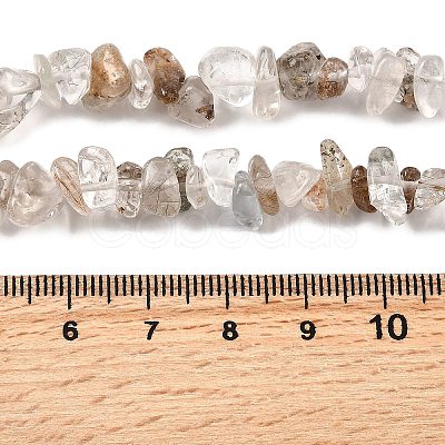 Natural Lodolite Quartz Beads Strands G-H315-A02-01-1