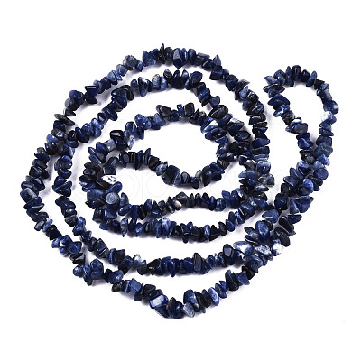 Natural Sodalite Beads Strands G-S364-080-1