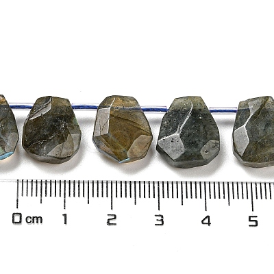 Natural Labradorite Beads Strands G-Z040-A03-01-1