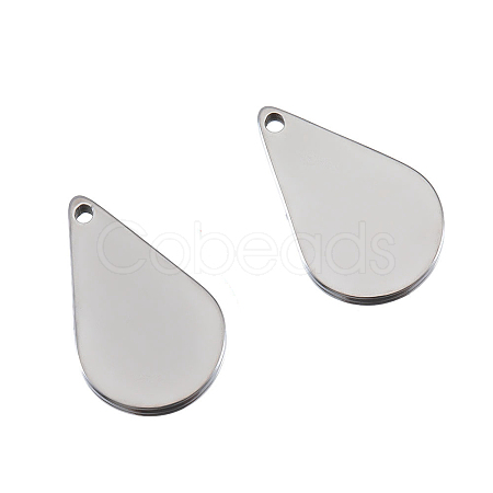 Stainless Steel Charms PW-WG31F01-02-1