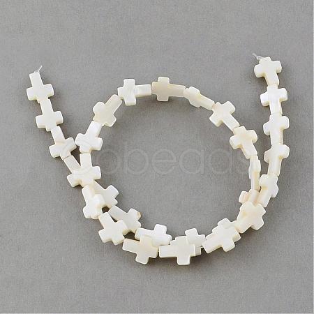 Natural Freshwater Shell Beads Strands SSHEL-Q296-34-1