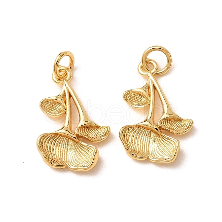 Brass Pendants KK-CBA2F11-21B-G-1