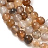 Dyed Natural Agate Round Beads Strands X-G-E321B-8mm-01-4