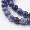 Natural Sodalite Bead Strands G-G735-58-8mm-A-3