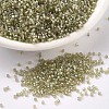 MIYUKI Delica Beads X-SEED-J020-DB1766-1