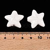 Handmade Porcelain Beads PORC-N008-03F-3