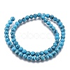 Synthetic Turquoise Beads Strands Z0NDC013-1-2