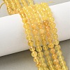 Natural Amber Beads Strands G-L095-B01-6mm-01-1