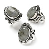 Natural Labradorite Adjustable Rings RJEW-I108-01AS-03-4