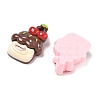 Opaque Resin Imitation Food Cabochons RE-CBA068D-02-2