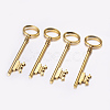 Tibetan Style Alloy Skeleton Key Large Pendants TIBEP-S105-AG-RS-2