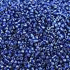 MIYUKI Delica Beads X-SEED-J020-DB2511-2
