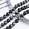 Natural Labradorite Beads Strands G-N328-49D-01-4
