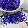 MIYUKI Delica Beads X-SEED-J020-DB0216-1