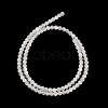Natural Selenite Beads Strands G-K336-02-4