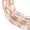 Transparent Glass Beads Strands EGLA-P052-03B-01-3