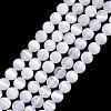 Natural Selenite Beads Strands G-N328-025B-02-1