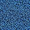 MIYUKI Round Rocailles Beads X-SEED-G007-RR5116-2