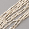 Natural Cultured Freshwater Pearl Beads Strands PEAR-G007-42-01-2