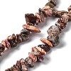 Natural Leopard Skin Jasper Chip Beads Strands G-G905-11-2