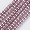 Eco-Friendly Dyed Glass Pearl Beads Strands HY-A008-5mm-RB085-1