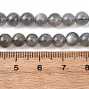 Natural Labradorite Round Bead Strands G-M263-B-03-7