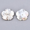 Natural White Shell Mother of Pearl Shell Beads SSHEL-N032-18-2