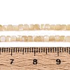 Natural Trochid Shell/Trochus Shell Beads Strands BSHE-T014-52A-02-4