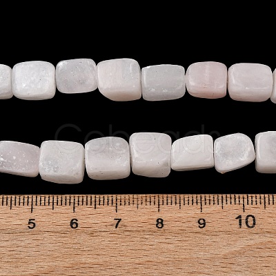 Natural Selenite Beads Strands G-B155-D17-1