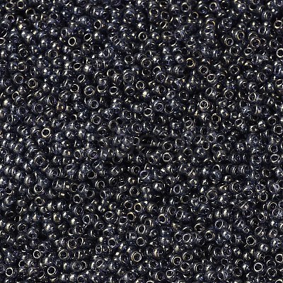 MIYUKI Round Rocailles Beads SEED-G007-RR2447-1