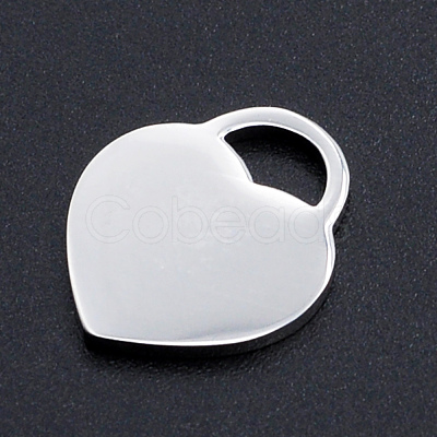 Non-Tarnish 304 Stainless Steel Pendants STAS-N090-T857-1