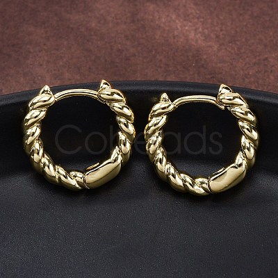 Brass Twisted Rope Chunky Hinged Huggie Hoop Earrings for Women EJEW-P196-25G-1