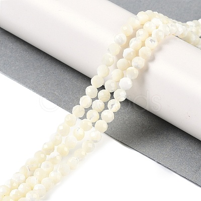 Shell Beads Strands SSHEL-E571-38-4mm-1