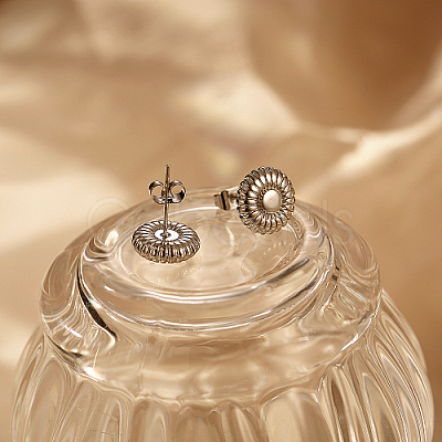304 Stainless Steel Stud Earring AZ0549-2-1