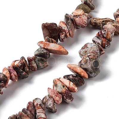 Natural Leopard Skin Jasper Chip Beads Strands G-G905-11-1