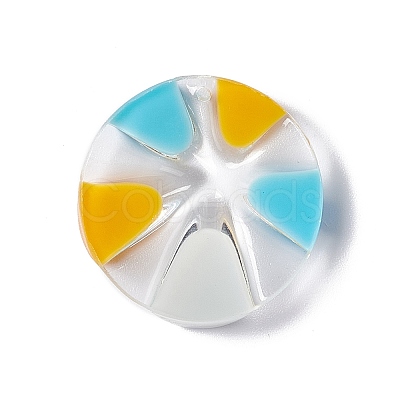 Transparent Resin Pendants RESI-E029-03E-1