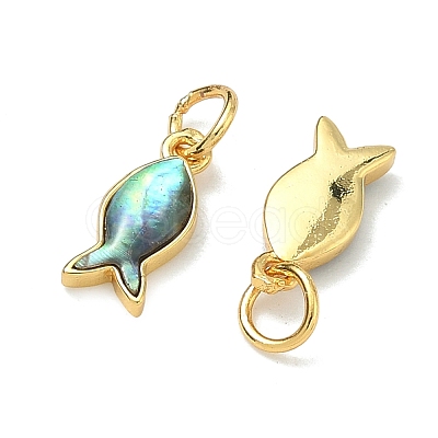 Natural Paua Shell Fish Charms X-KK-F926-04A-1