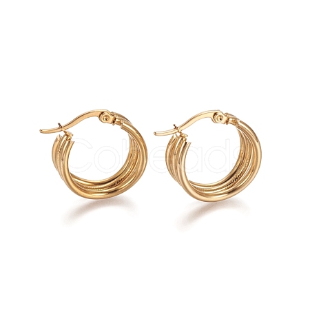 304 Stainless Steel Geometric Hoop Earrings STAS-D171-28G-1
