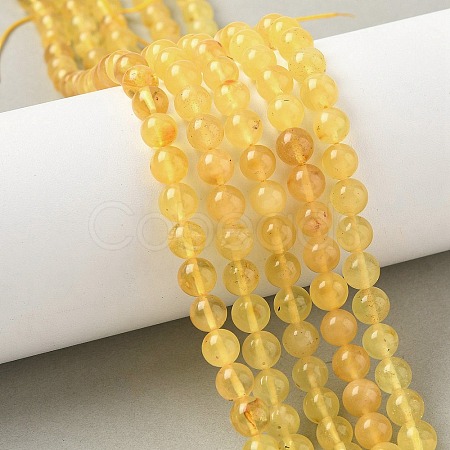 Natural Amber Beads Strands G-L095-B01-6mm-01-1