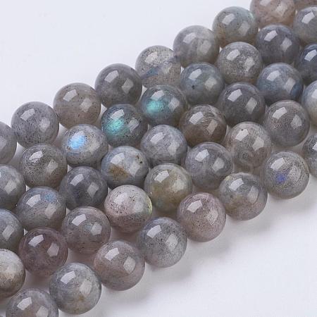Natural Labradorite Beads Strands X-G-G212-8mm-23-1